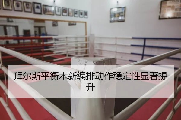 bai-er-si-ping-heng-mu-xin-bian-pai-dong-zuo-wen-ding-xing-xian-zhu-ti-sheng-2-160.jpg